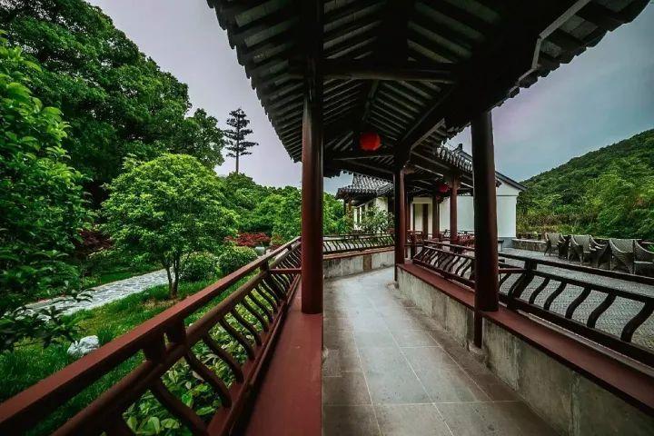 探索知识的乐园-从奥体中心到武夷花园怎么走